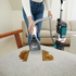 Shark CarpetXpert Deep Carpet Cleaner with Built-In StainStriker EX200 image NaN