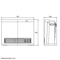 Rinnai Dynamo Natural Gas Heater DY15N hero image
