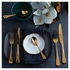 Stanley Rogers Chelsea Gold 24 Piece Cutlery Set 50626 image NaN