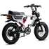 Flight Risk FR555 E-Bike White FR-555WHITE image NaN