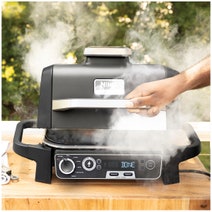 Ninja Woodfire Outdoor Electric BBQ Grill and Smoker OG751 hero image
