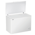 Haier 301L Chest Freezer HCF301W image NaN