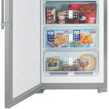 Liebherr 304L Upright Freezer SGNES3010 hero image