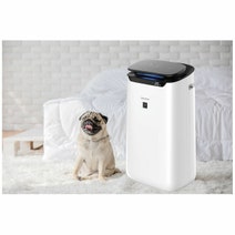 Sharp FX-J80-W Plasmacluster Air Purifier FX-J80-W hero image