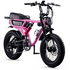 Flight Risk FR555 E-Bike Pink FR-555PINK image NaN