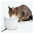 Dogness Water Fountain Plus 3.2L White 10570 image NaN