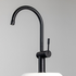 Titan Gooseneck Kitchen Mixer Tap Model 2 Black Steel TTBS2 image NaN