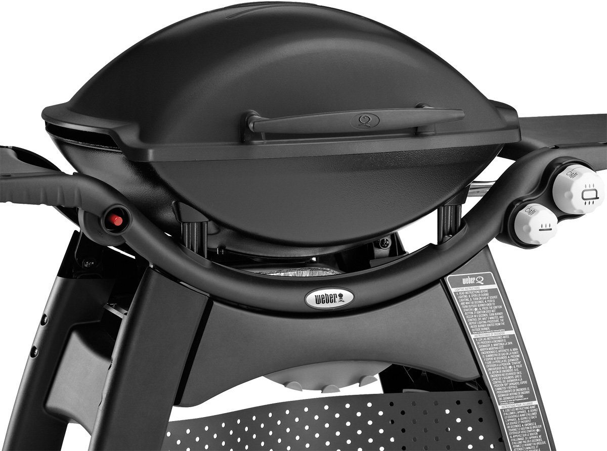 Weber family q3100 online