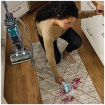 Shark CarpetXpert HairPro Pet Upright Cleaner with StainStriker EX300 hero image