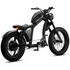 Flight Risk FR666 E-Bike Black FR-666BLACK image NaN