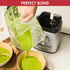 Magimix Power Blender 3 Matte Chrome 11641AU image NaN