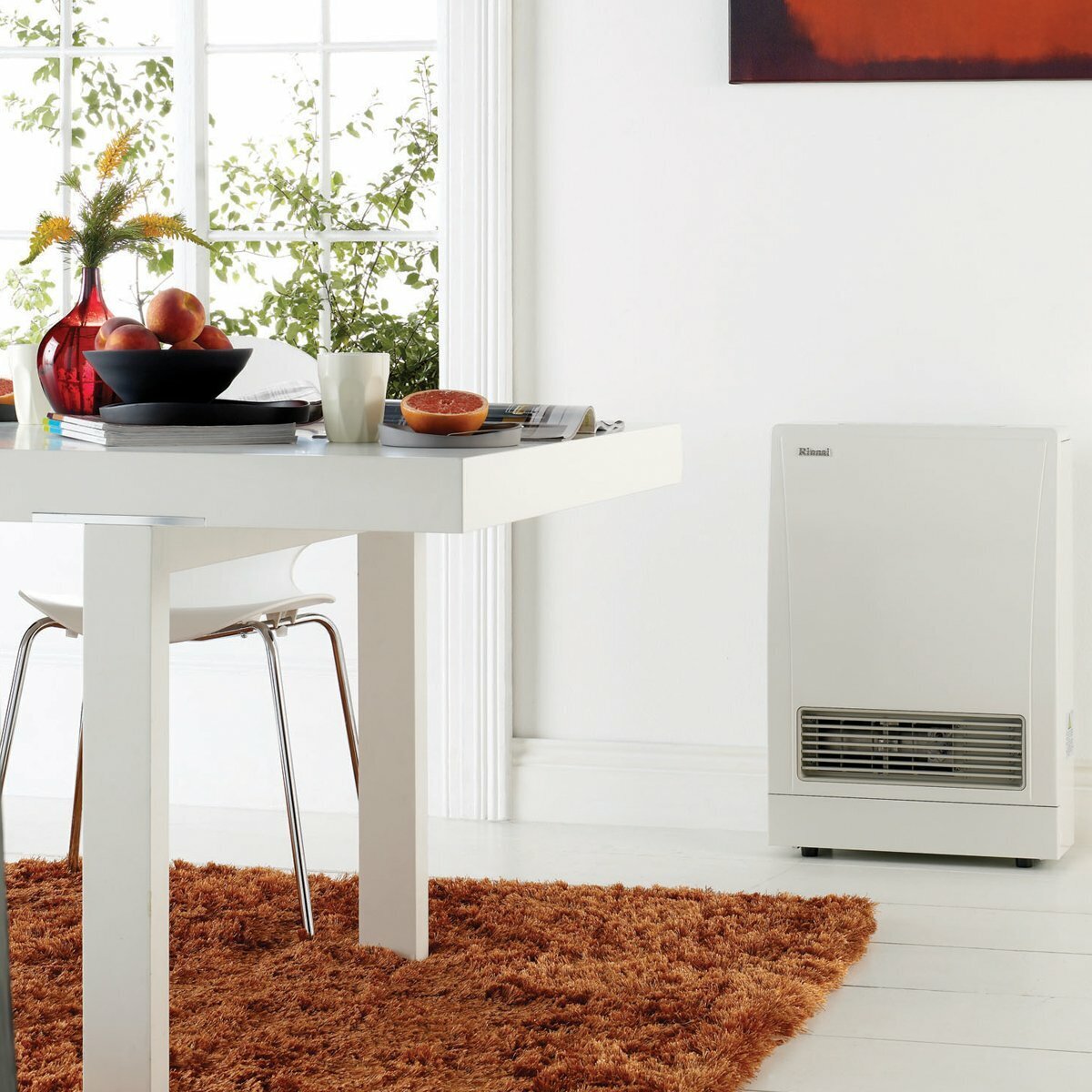 Rinnai EnergySaver Flued Natural Gas Heater K309FTSN hero image