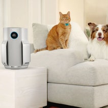 Shark NeverChange5 Air Purifier HP150 hero image