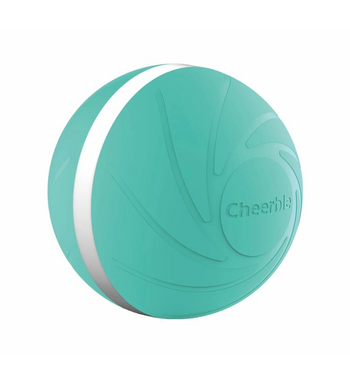 Cheerble Wicked Ball Mint 5698