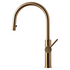 Titan Essentials Lite Gooseneck Pull Out Kitchen Mixer Tap - Brass TTBRXP image NaN