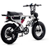 Flight Risk FR555 E-Bike White FR-555WHITE image NaN