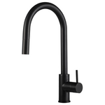 Rogerseller Tonic Sink Mixer with Pull Out Spray - Matte Black 3606013811 hero image