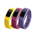 Garmin vívofit 2 Wrist Bands (Large) (Canary/Pink/Violet) image NaN