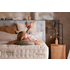 A.H. Beard Origins - Populace QII Medium Double Mattress - SILFC2MD image NaN