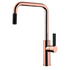 Armando Vicario LUZ-RG Luz Kitchen Mixer with Pull-Out Tap image NaN