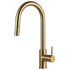 Rogerseller Tonic Sink Mixer with Pull Out Spray - Brushed Gold 3606013814 image NaN
