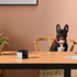 Petcube Play 2 Interactive Wi-Fi Pet Camera 7271 image NaN