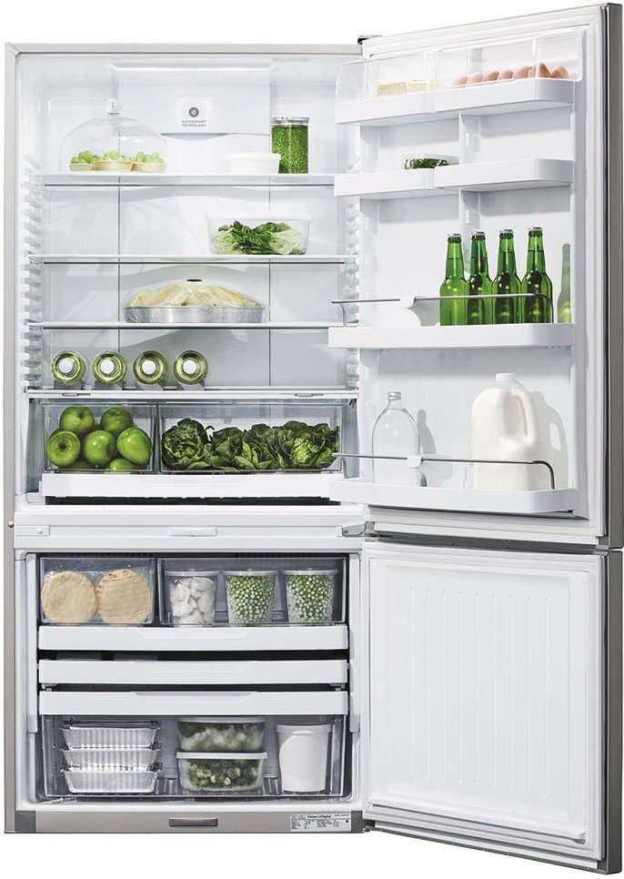 Fisher & Paykel E522BRE4 519L ActiveSmart Bottom Mount Fridge hero image