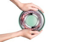 Morphy Richards Stainless Steel Chopper Spearmint Green MRCH35SG hero image