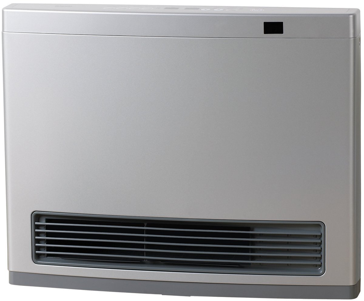 Rinnai on sale avenger 25