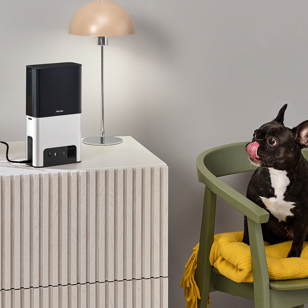 interactive dog camera with treat dispenser