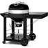 Napoleon Professional 22 Charcoal Cart PRO22K-CART-3 image NaN