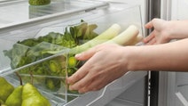 Fisher & Paykel E442BLXFDJ5 442L ActiveSmart Bottom Mount Fridge hero image