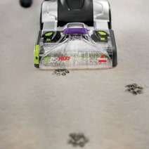 Bissell ProHeat 2X Revolution Pet Carpet Cleaner 3631F hero image
