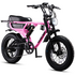 Flight Risk FR555 E-Bike Pink FR-555PINK image NaN
