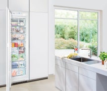 Liebherr 248L Integrated Freezer SIGN3576LH hero image