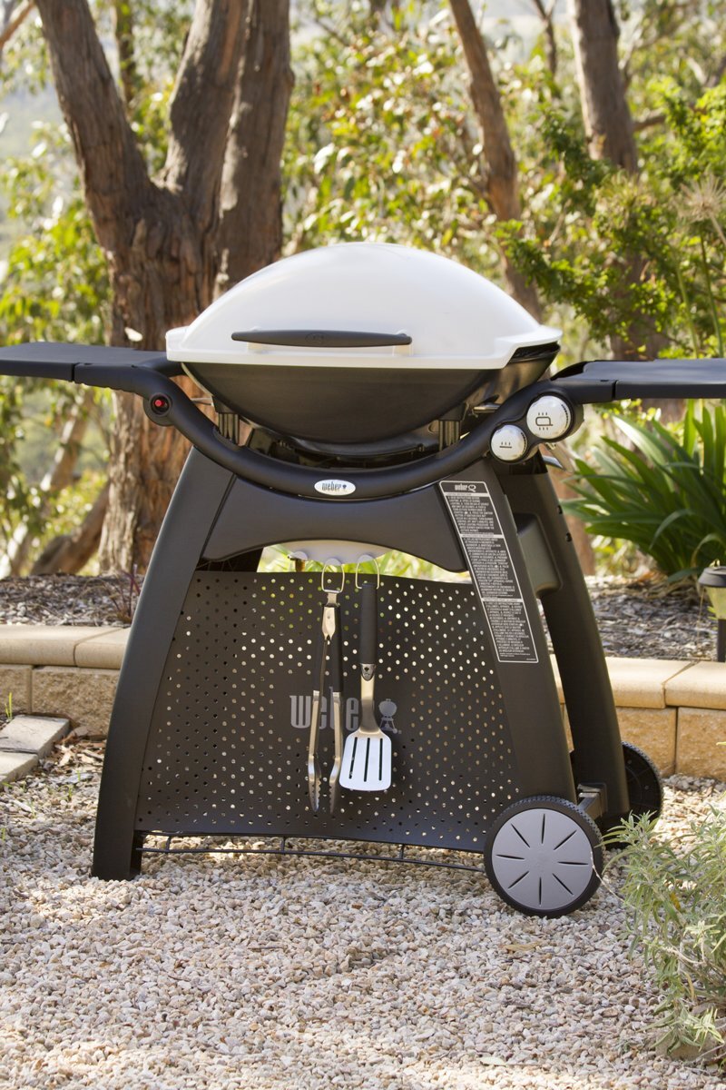 Weber family q3100 on sale