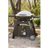 Weber Family Q Q3100 LPG BBQ 56060124 image NaN