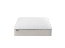 Koala Calm As Mattress Queen 101-0242 hero image