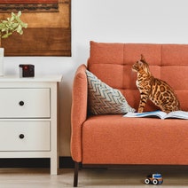Petcube Play 2 Interactive Wi-Fi Pet Camera 7271 hero image