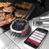 Weber 7203 iGrill 2 Bluetooth Thermometer image NaN