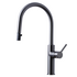 Titan Essentials Lite Gooseneck Pull Out  Kitchen Mixer Tap - Gunmetal TTGMXP image NaN