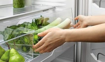 Fisher & Paykel Series 5 494L Bottom Mount Refrigerator Stainless Steel Left Hinge RF522BLPX6 hero image