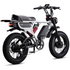 Flight Risk FR777 E-Bike Silver FR-777SILVER image NaN