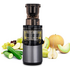 BioChef JU-BC-WA-4W-AU-SV Atlas Pro Whole Slow Juicer image NaN