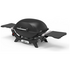 Weber Q2000N Portable LPG BBQ Black 28310024 image NaN