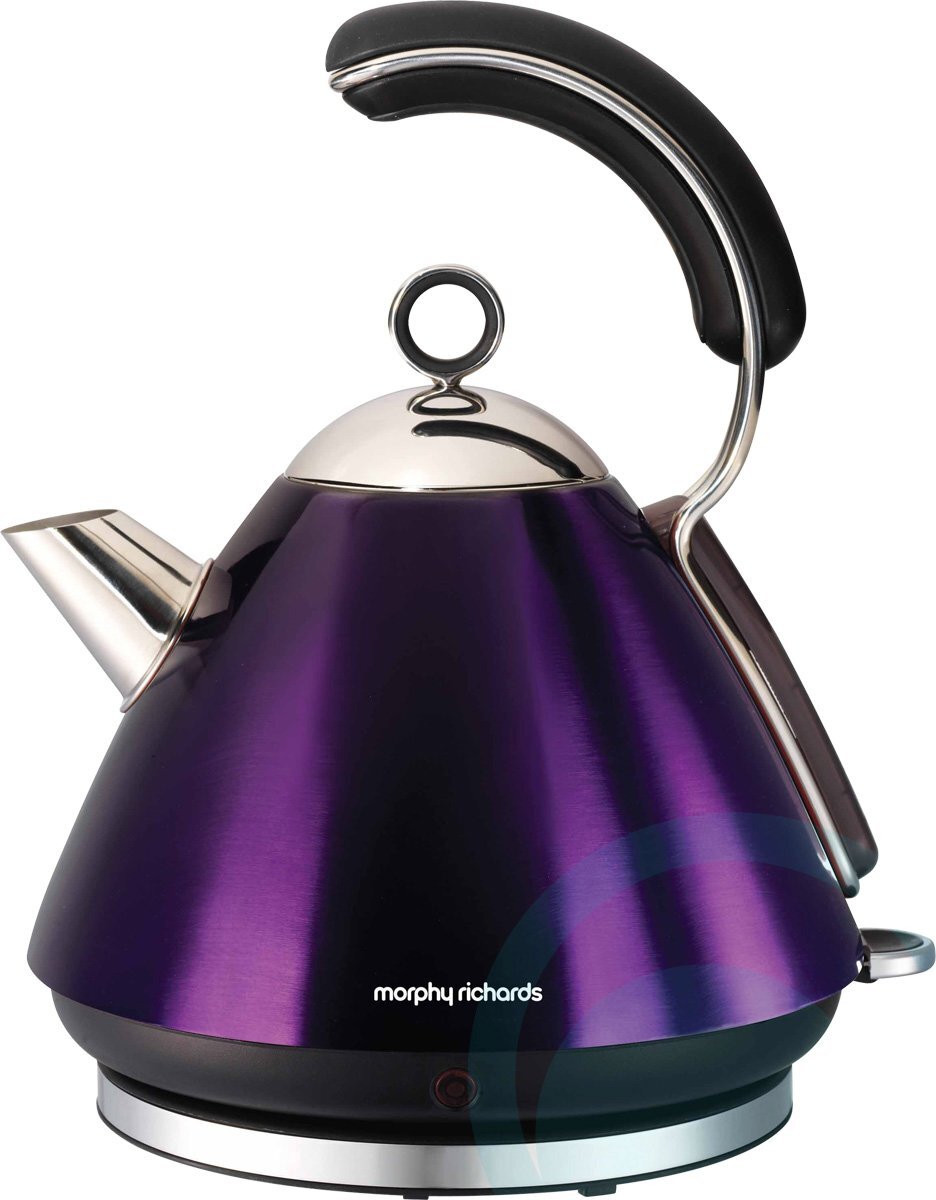 Murphy richard discount kettle
