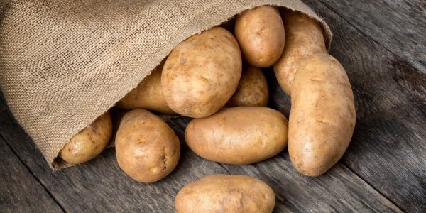 Potatoes should never be stored in the fridge.