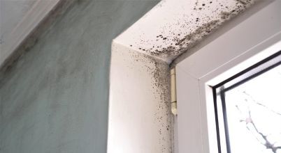 A window frame with mould around it