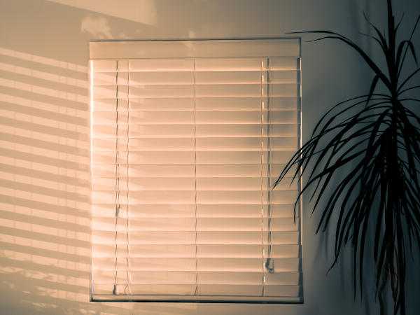 Close blinds and curtains at night to stop heat loss through glass.