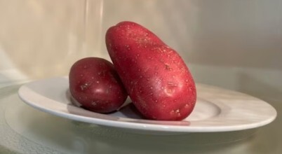 Whole unpeeled potatoes can explode in the microwave